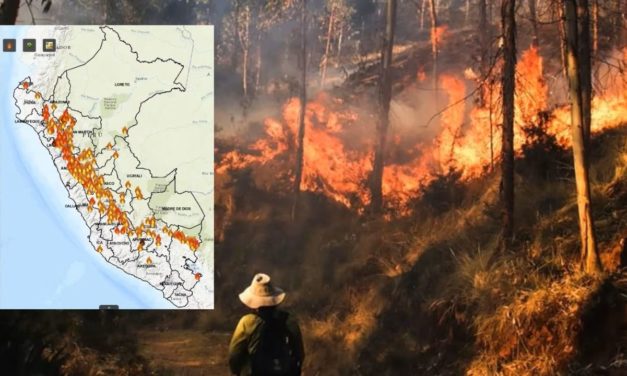 Incendios forestales en la Amazonía: Defensoría del Pueblo exige medidas urgentes