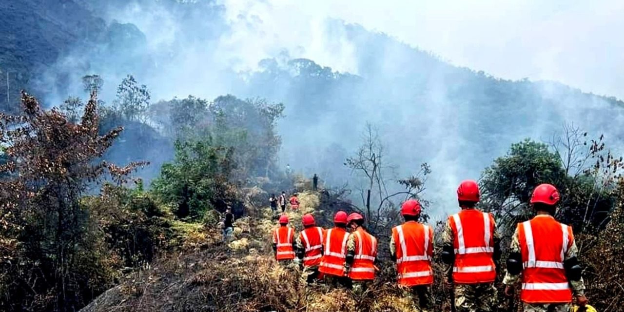 Gobierno articula esfuerzos para controlar incendios forestales en el país