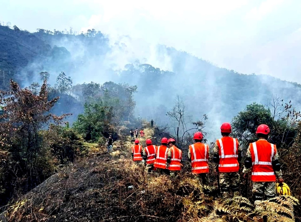 Gobierno articula esfuerzos para controlar incendios forestales en el país