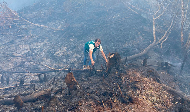 Cajamarca: investigan a poblador que causó incendio forestal en San Ignacio