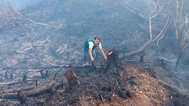 Cajamarca: investigan a poblador que causó incendio forestal en San Ignacio