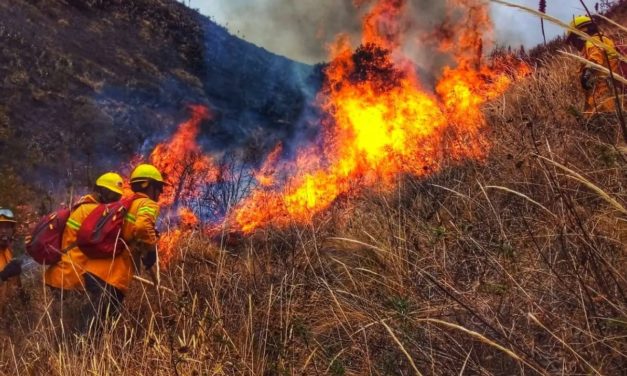 Cusco: más de 379 incendios forestales y tres fallecidos este año