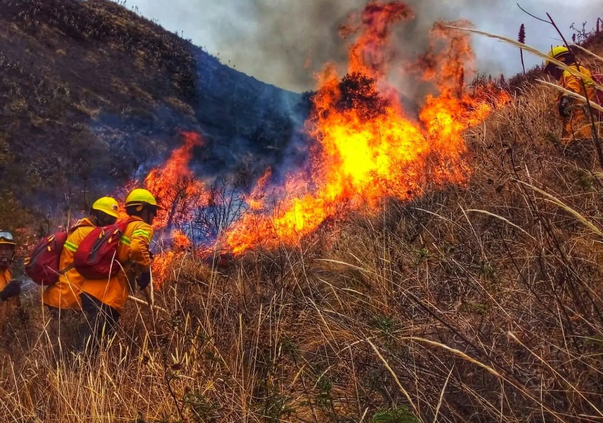 Cusco: más de 379 incendios forestales y tres fallecidos este año