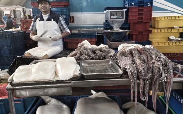 Alza del precio de la pota afecta a pescadores y amas de casa en Perú