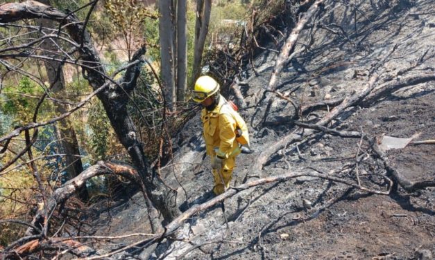 Incendios forestales han cobrado la vida de tres personas en Cusco