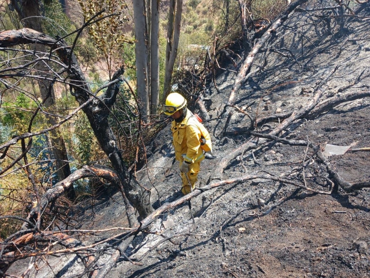 Incendios forestales han cobrado la vida de tres personas en Cusco