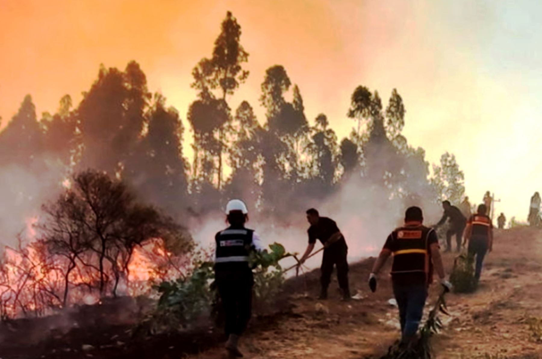 Incendios forestales afectan cuatro regiones del país: COEN reporta ocho siniestros activos