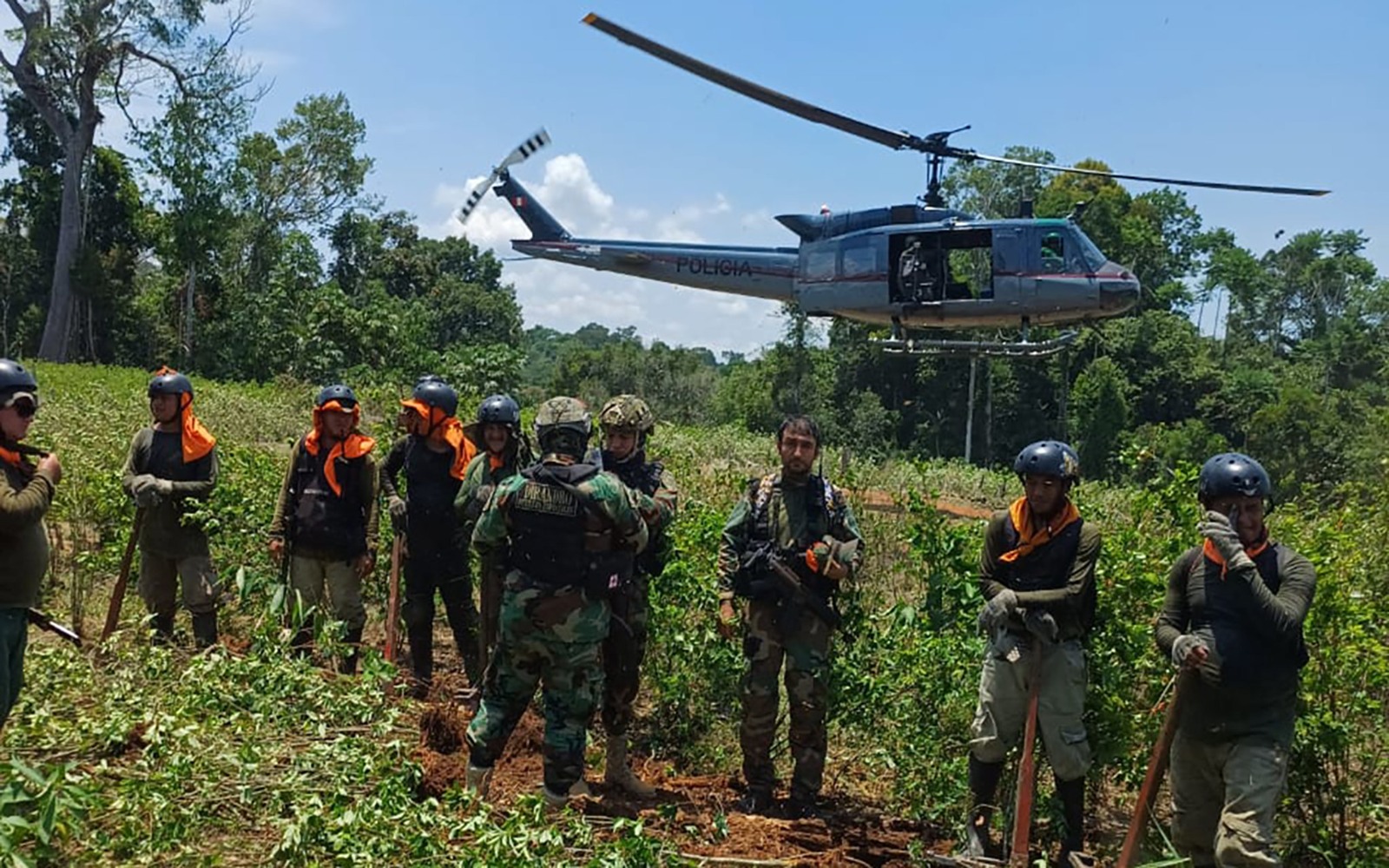 Mininter supervisa las acciones de erradicación de cultivos ilegales de coca en Aguaytía