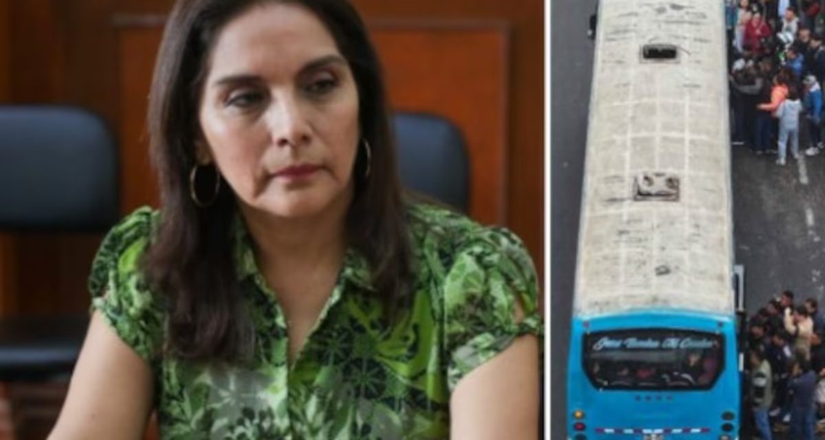 Patricia Juárez: "Costó tanto que el país sea parte de APEC"