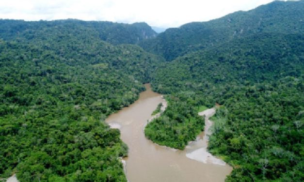 Asociación de mujeres recibe concesión para conservación de 2,088 hectáreas en Alto Mayo