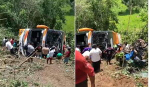 Tragedia en Moyobamba: accidente de bus escolar deja 11 muertos y decenas de heridos