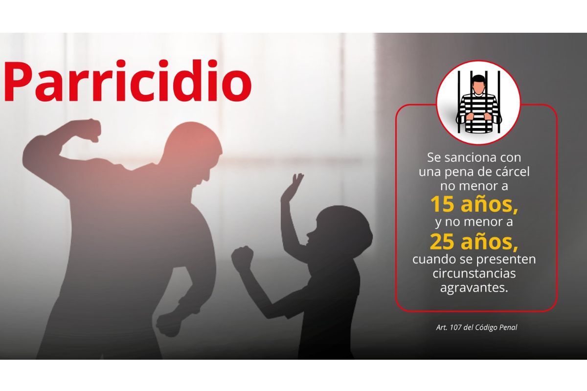 Parricidio en Perú: Código Penal prevé hasta 25 años de prisión