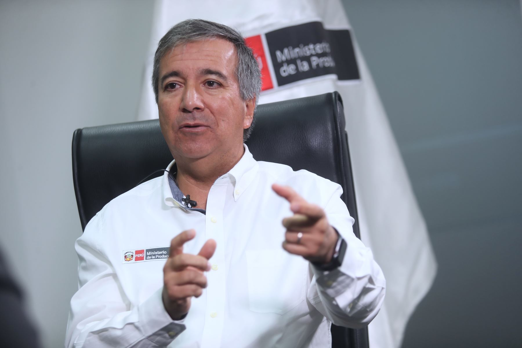 Ministro Raúl Pérez Reyes aclaró que el teletrabajo es voluntario