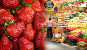 Fresas en Lima y Callao: Pesticidas superan límites permitidos y preocupan a consumidores