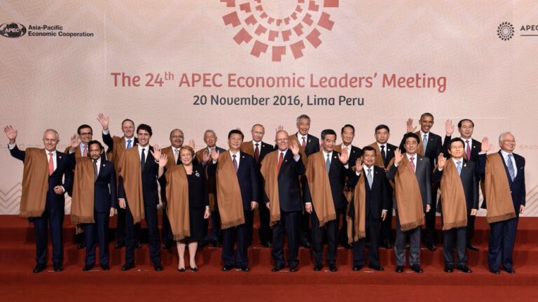 Lujosas chalinas de vicuña: el regalo de Perú a los líderes de APEC 2024