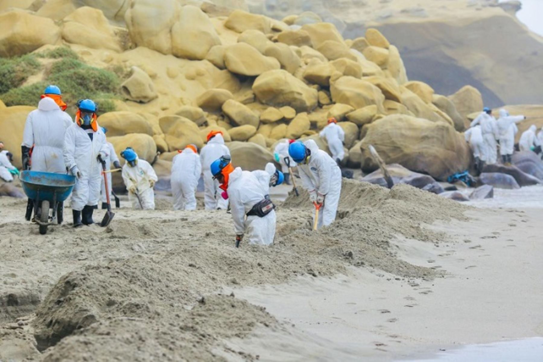 Derrame de petróleo en Lobitos pone en peligro la biodiversidad marina