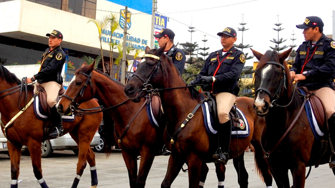 Desaparecen 17 caballos y 28 perros de Policía Nacional