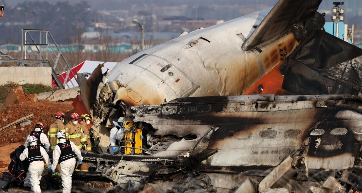 Avión se estrella y mueren 179 personas en Corea del Sur