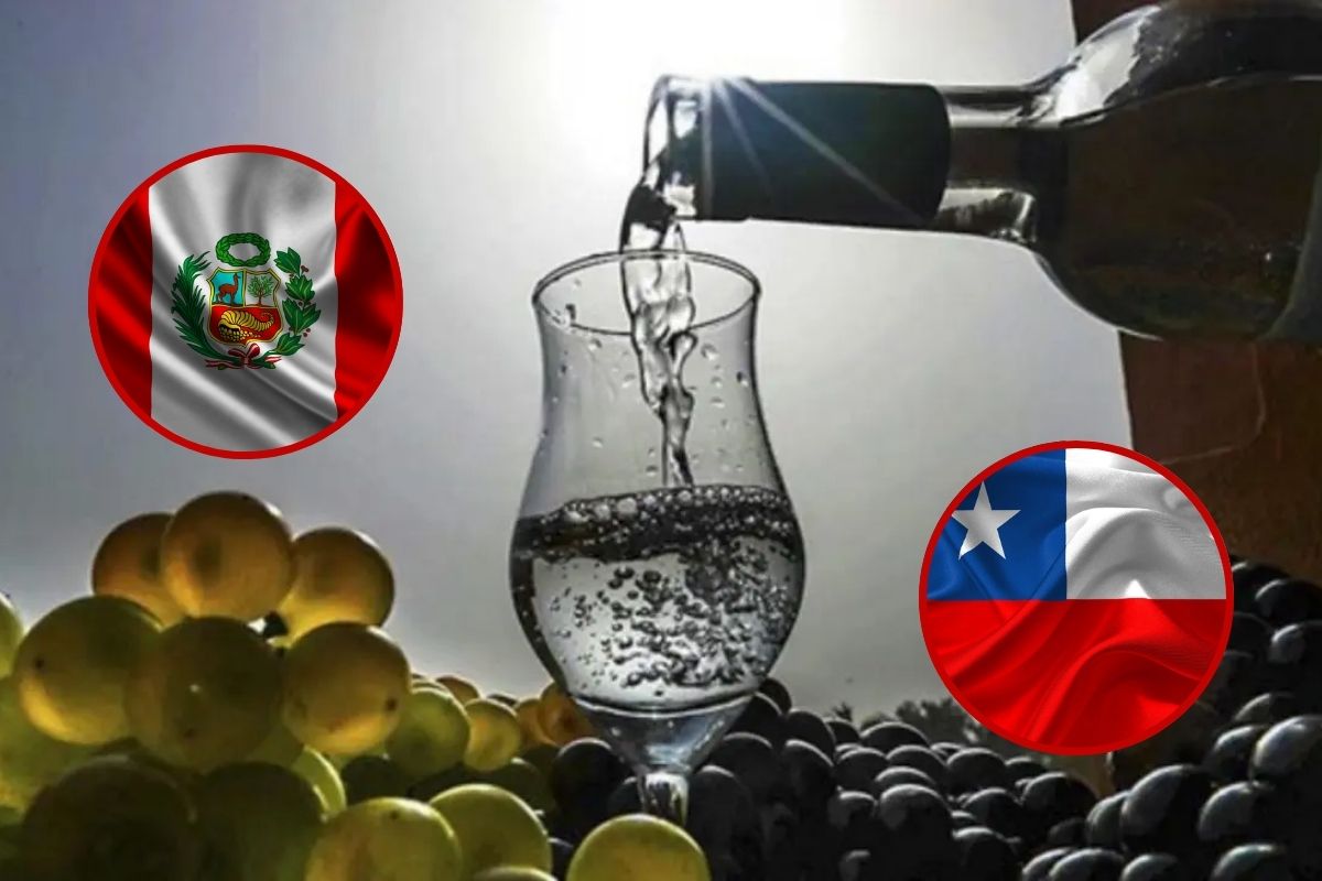 Tras el respaldo de la UNESCO, Chile tomará acciones sobre el origen del pisco