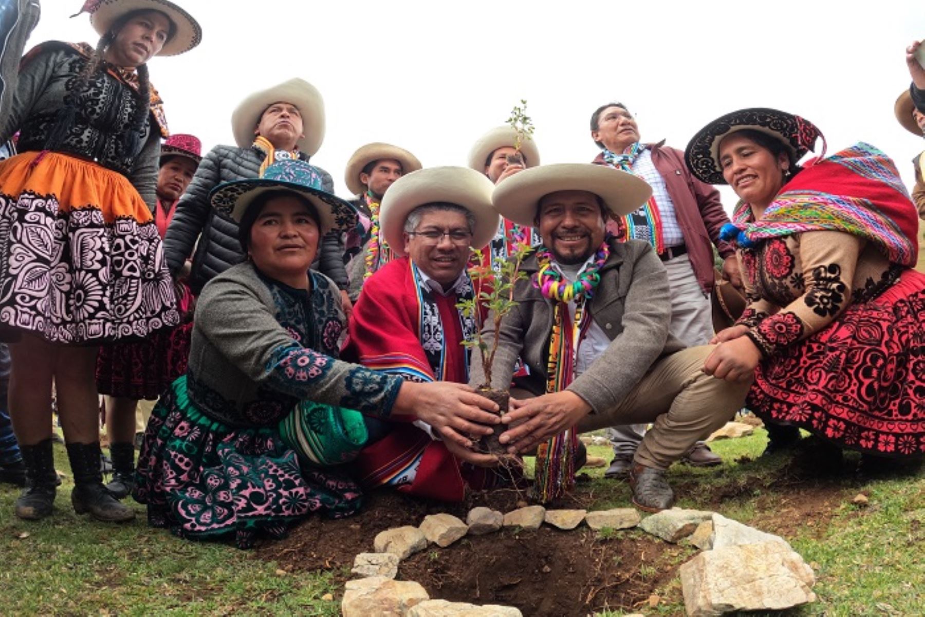 Cusco lanza ambiciosa campaña de forestación para restaurar ecosistemas