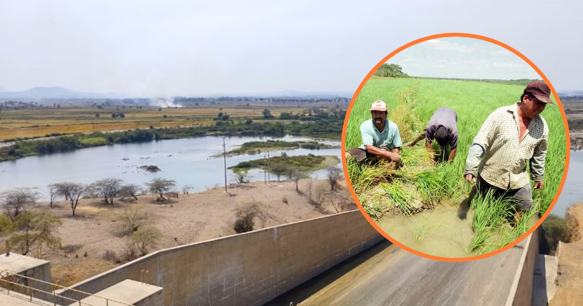 Piura enfrenta crisis hídrica: agricultores y población en emergencia