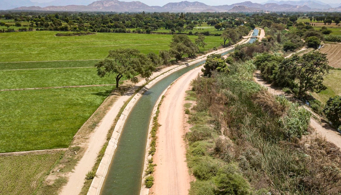 Proyectos de riego en Cajamarca buscan mejorar acceso al agua y promover la agricultura