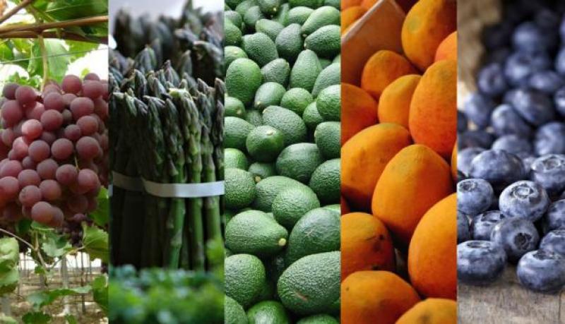 Perú recaudó millones de dólares en exportación de frutas