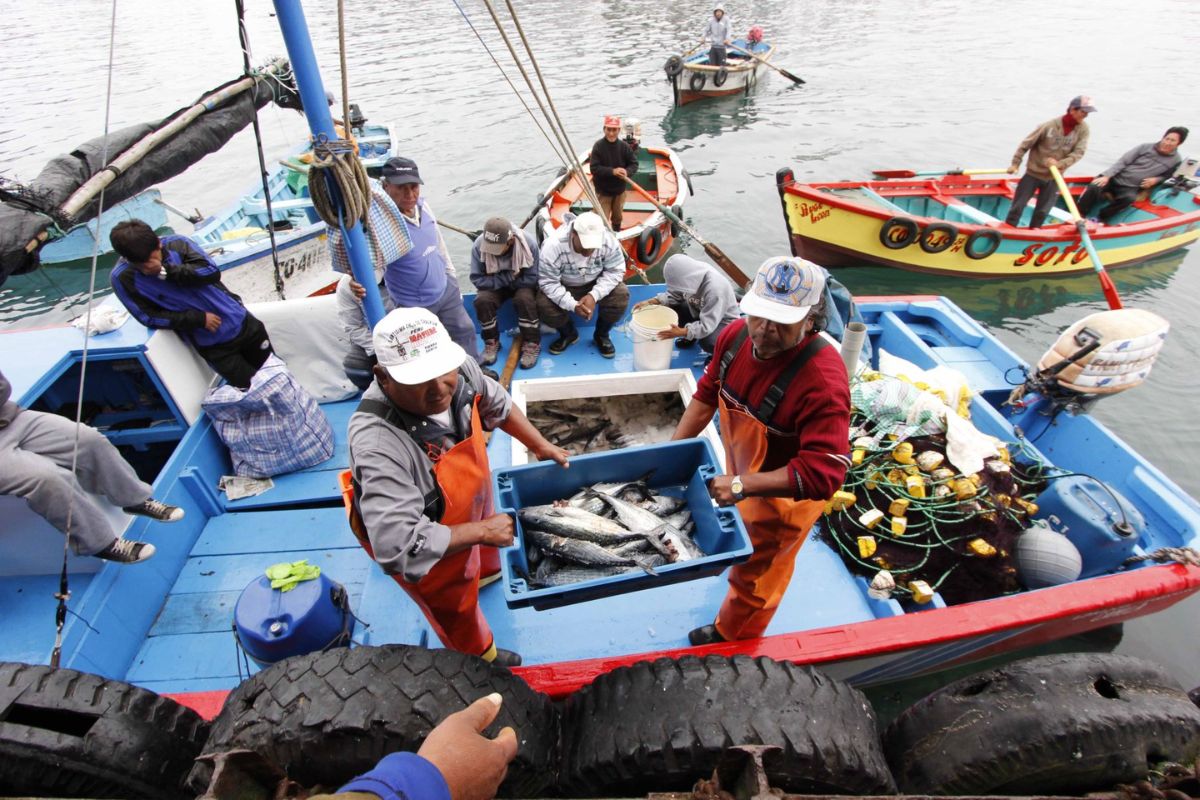 Ministerios se unen para respaldar a los pescadores