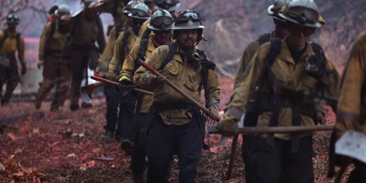 Google y YouTube donan $15 millones para apoyar a víctimas de incendios en Los Ángeles