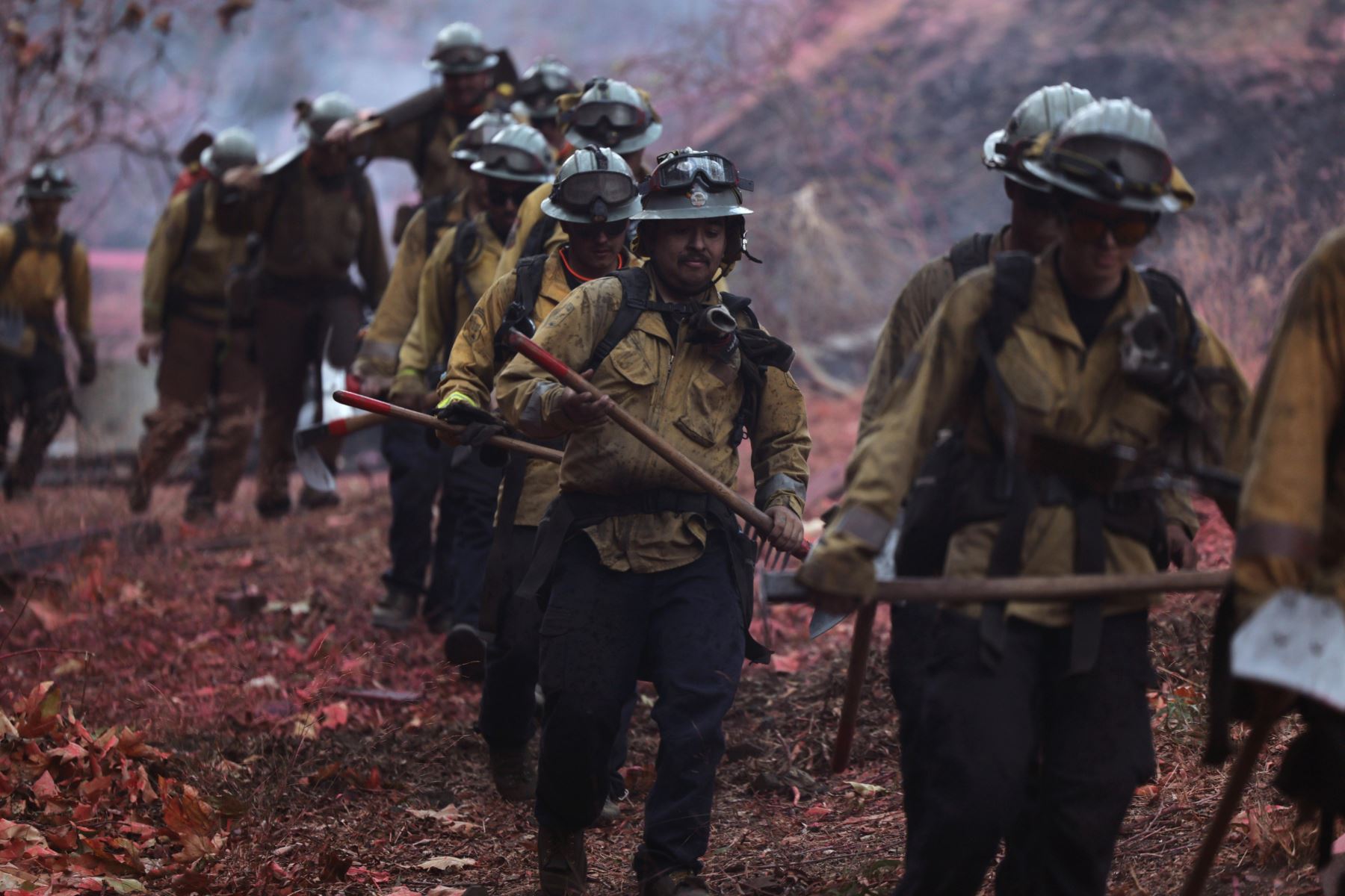 Google y YouTube donan $15 millones para apoyar a víctimas de incendios en Los Ángeles