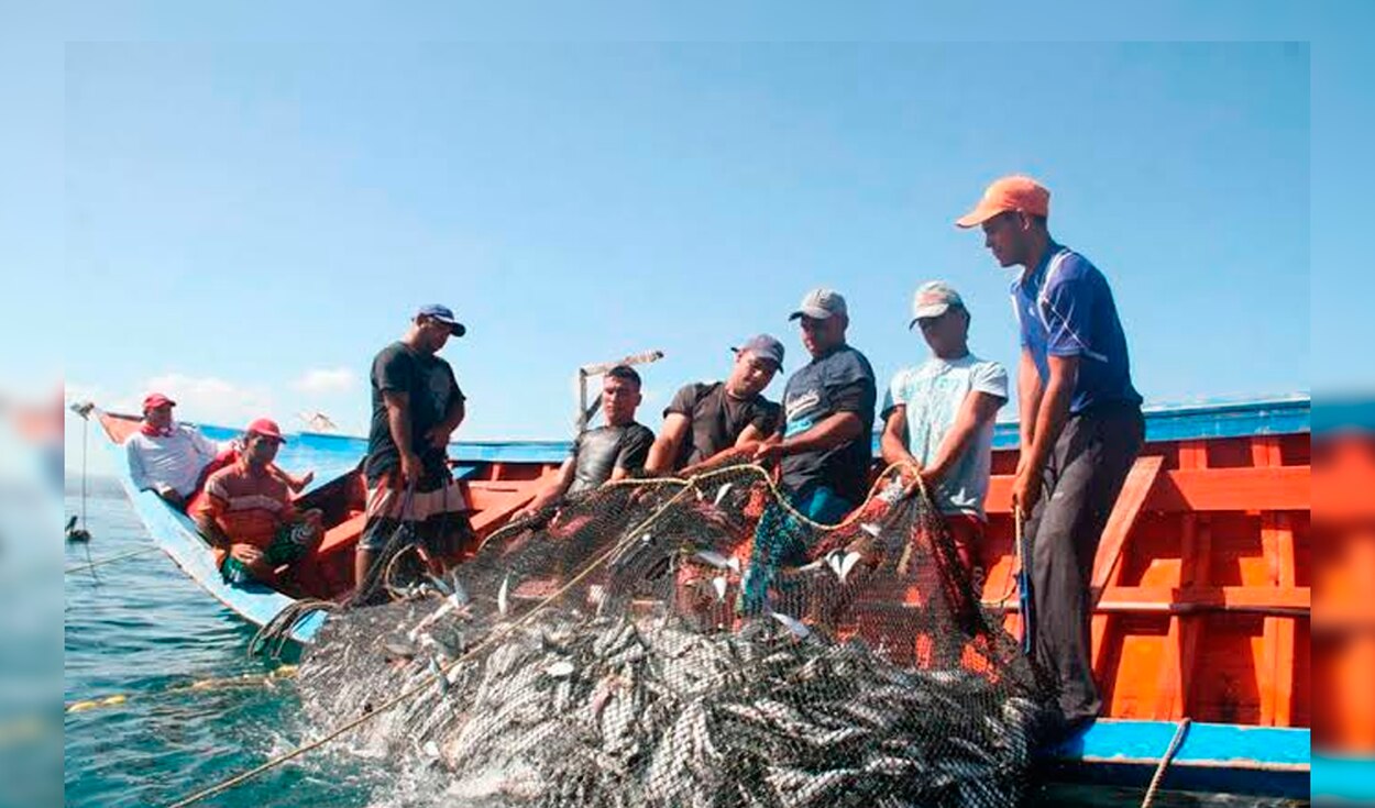 Gobierno peruano destaca logros en la pesca