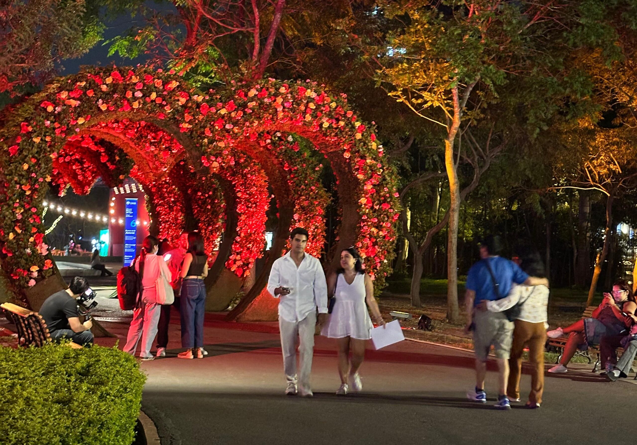 ‘Amor en el Parque’: Una experiencia mágica que celebra el amor