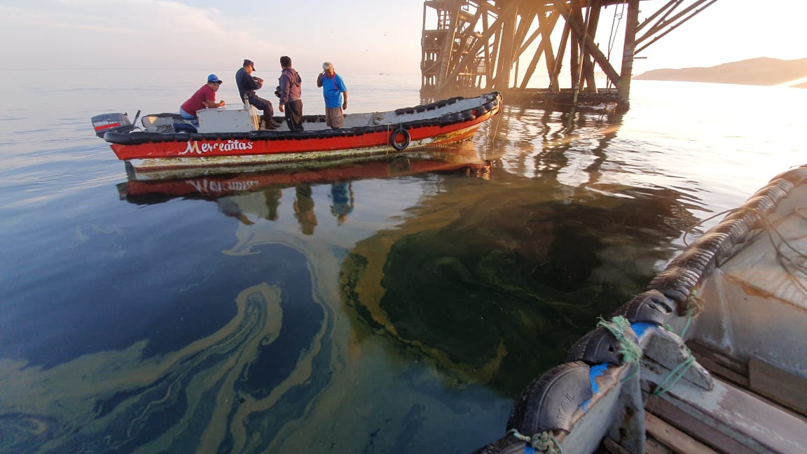 Derrame de petróleo en Talara afecta a pescadores y turismo