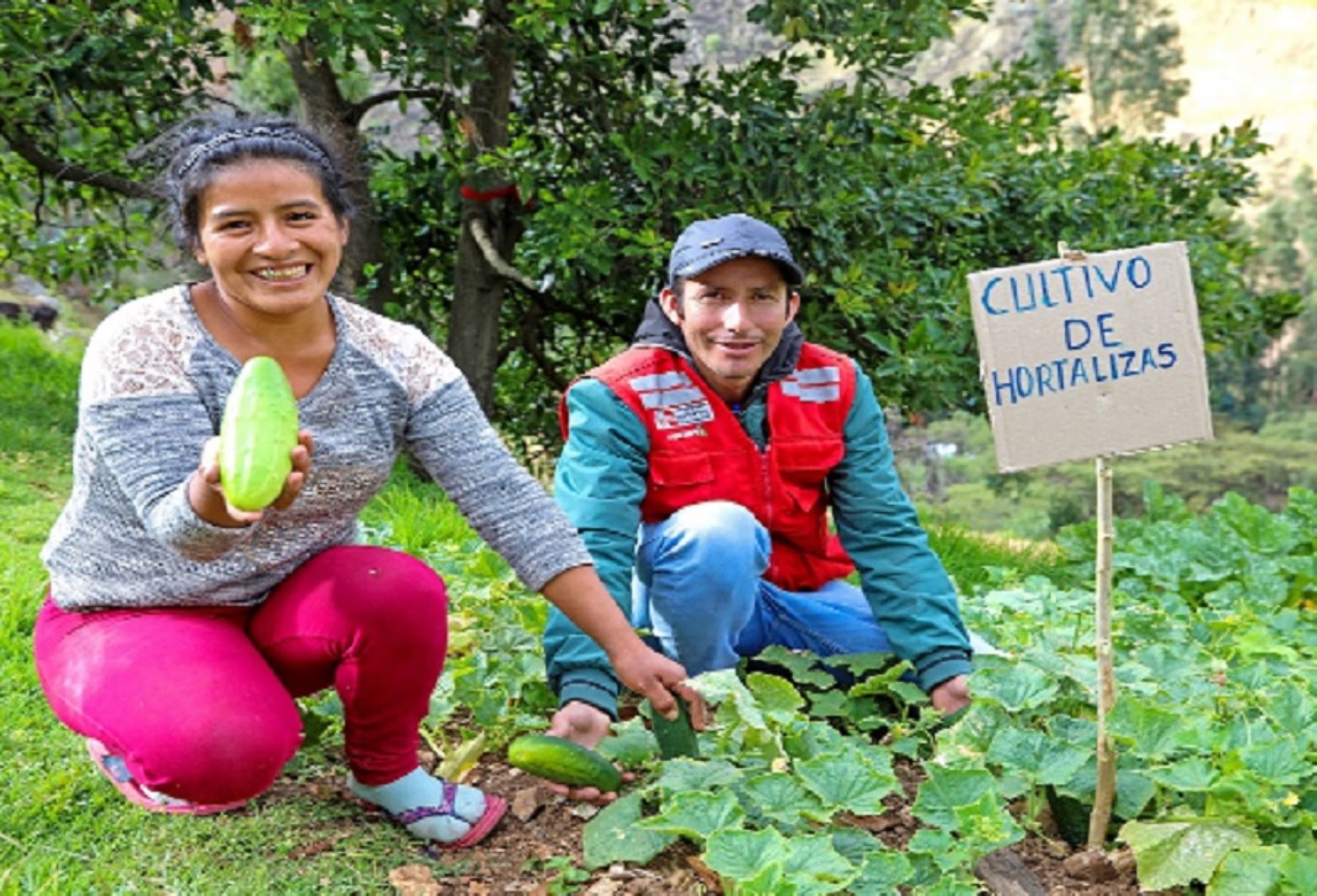 Midis invertirá S/7,2 millones en emprendimientos rurales de La Libertad