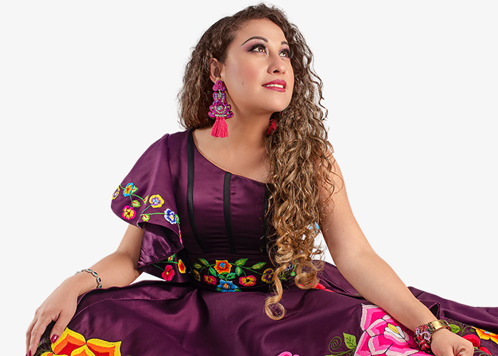 Festival “Viva Amarilis” reunirá a Amaranta, Papillón, El Lobo, Afrodisiaco y más