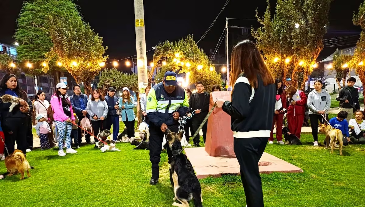 Huancayo inicia curso gratuito de adiestramiento canino