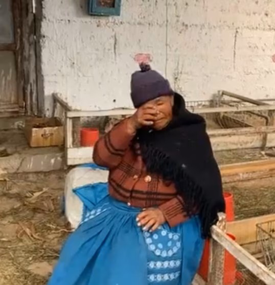 Roban 500 cuyes a pareja de adultos mayores en Huancayo