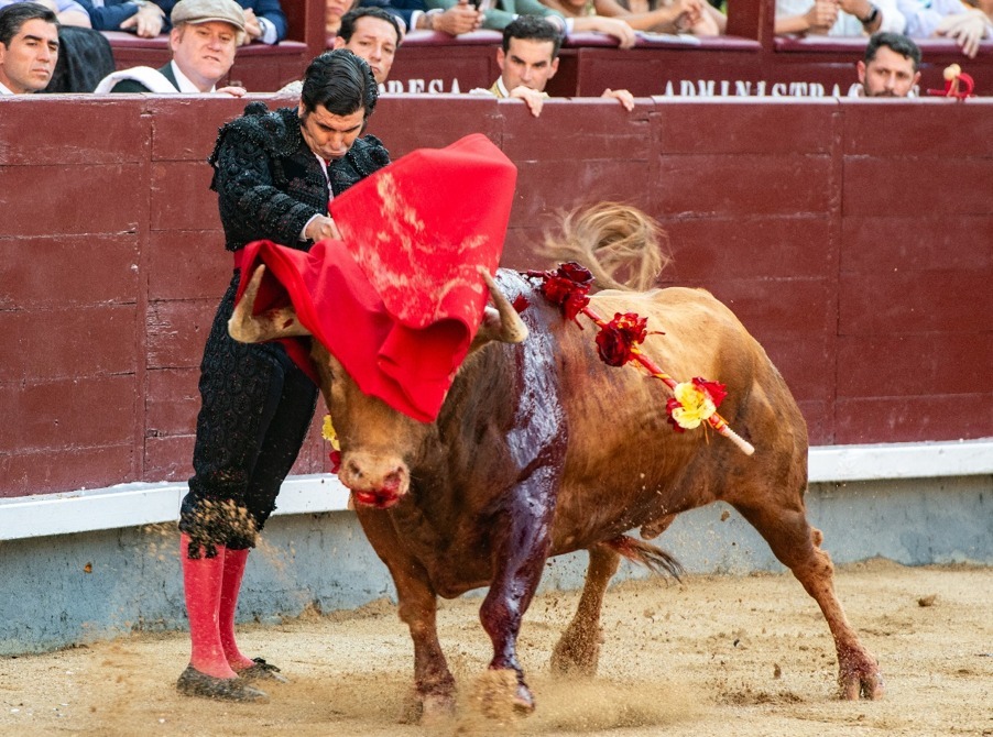 Morante consagra su leyenda ante La Cátedra: Madrid
