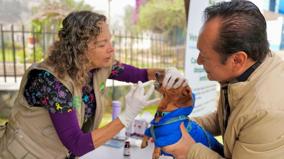 Los Olivos realizará campaña veterinaria gratuita este 10 de junio