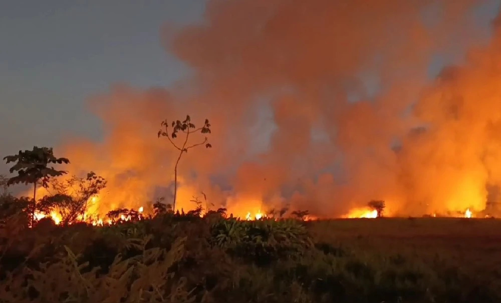 Un gran incendio forestal arrasa bosques en Pucallpa