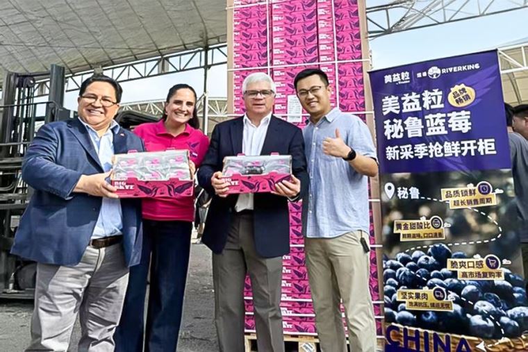 Primer cargamento de arándanos llega a China en tiempo récord