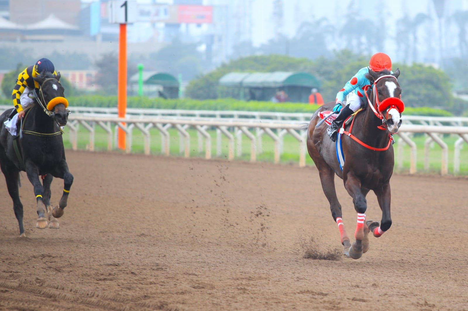 Raine Elizabeth en llegada de fotografía