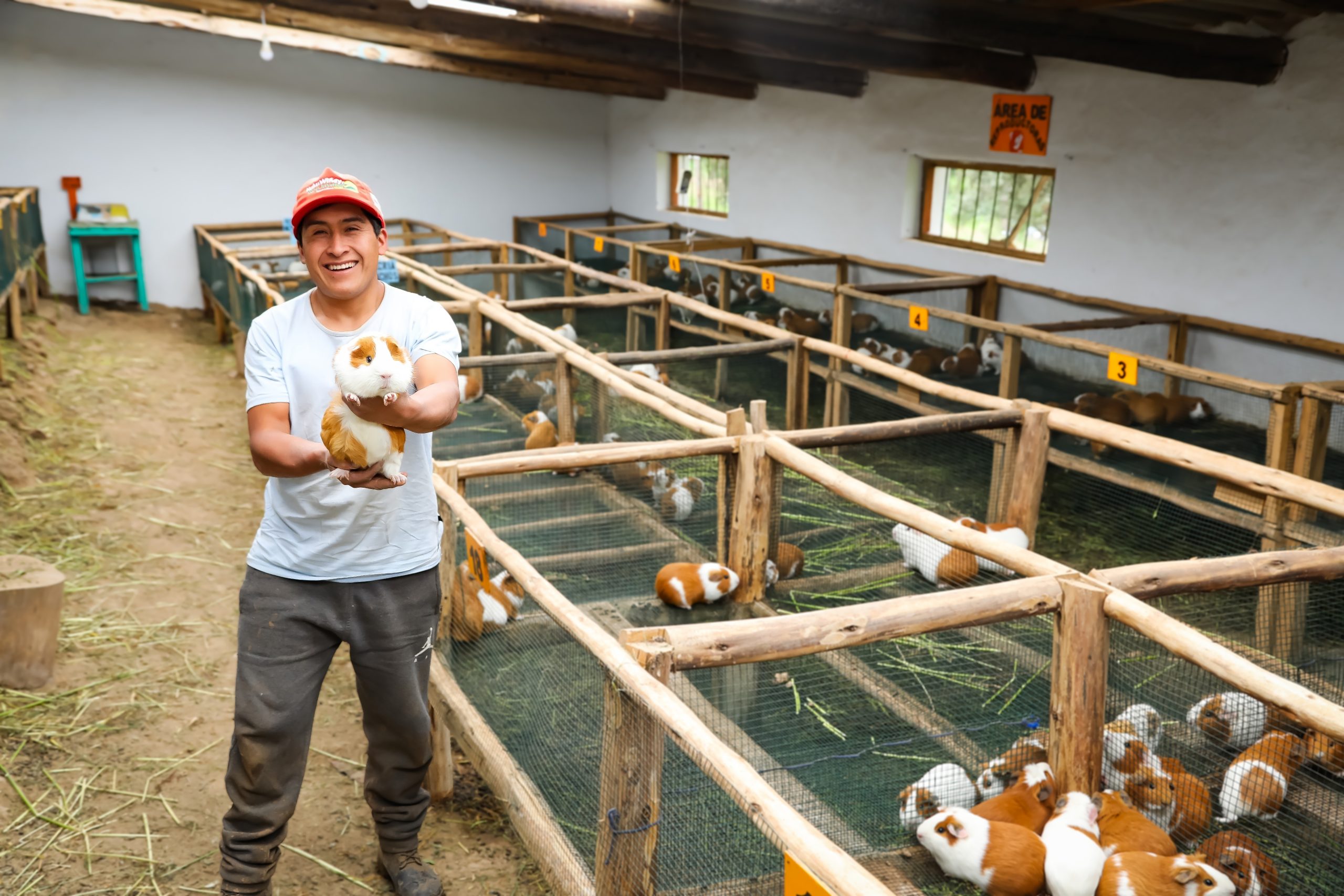 Gobierno destina más de S/94 millones para reforzar programas sociales y combatir la inseguridad