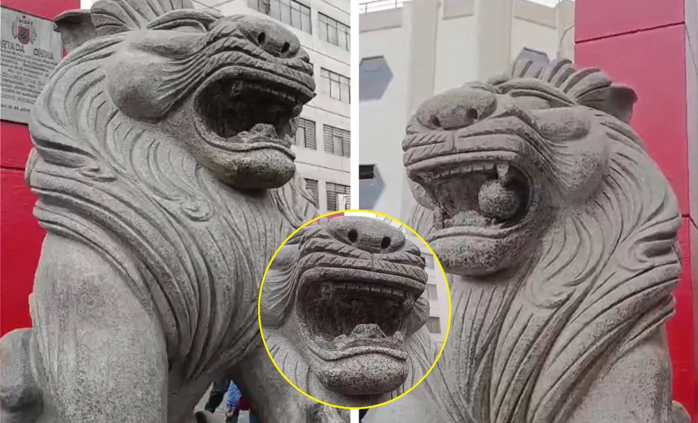 Delincuentes roban dientes y esfera de Leones Fu del Barrio Chino