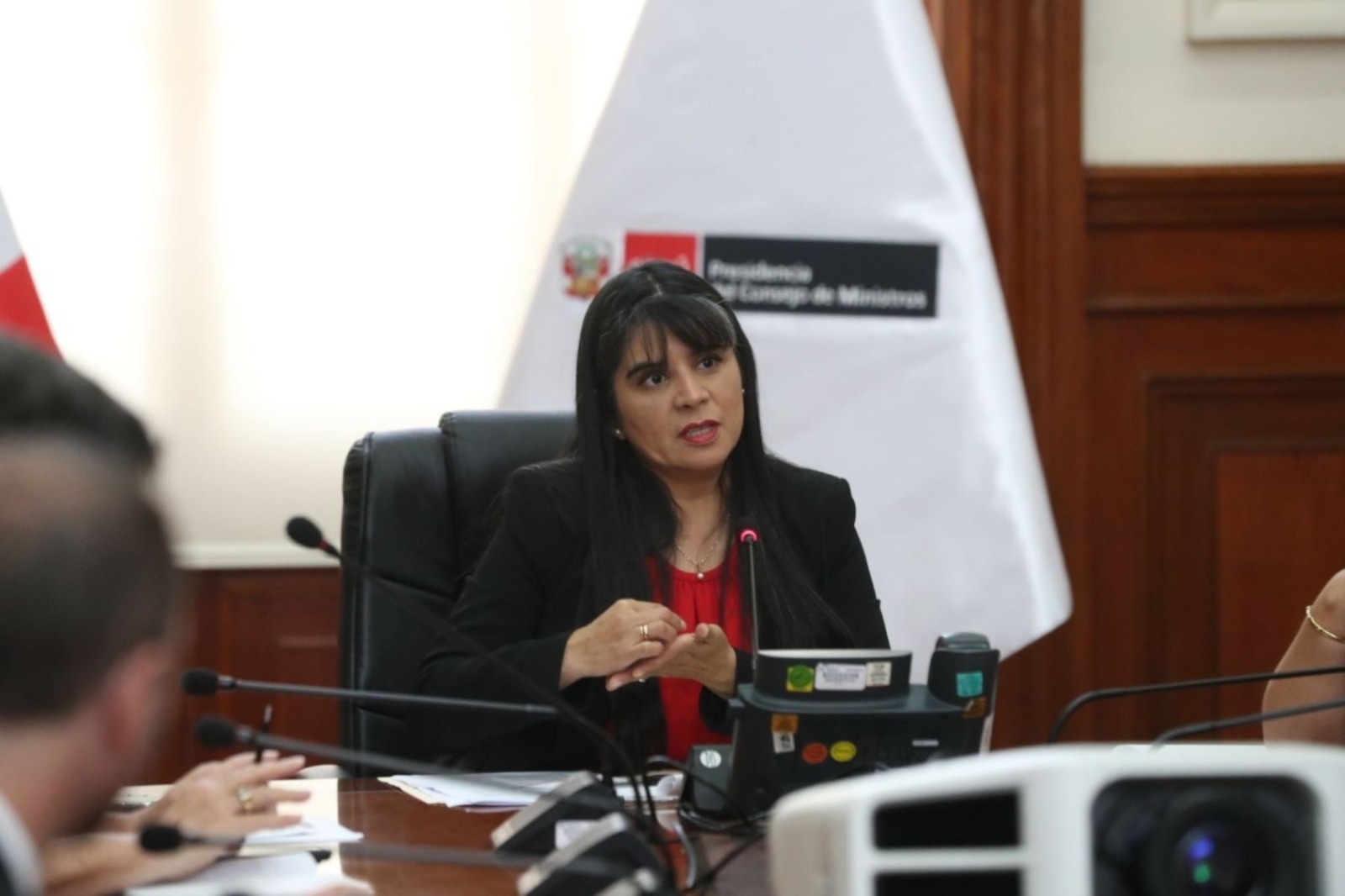 Desilú León: Iniciativa surge a raíz de intromisión en temas internos