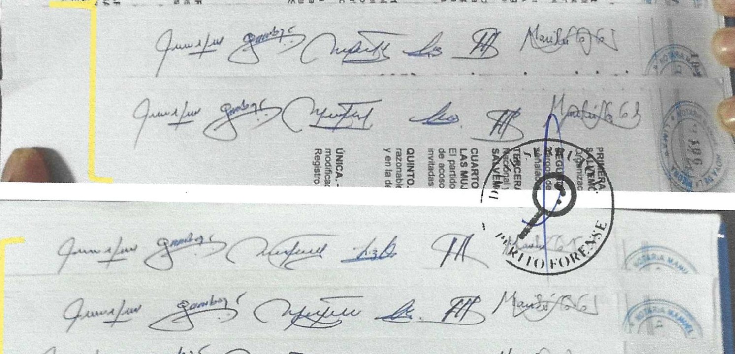 Salvemos al Perú firmas