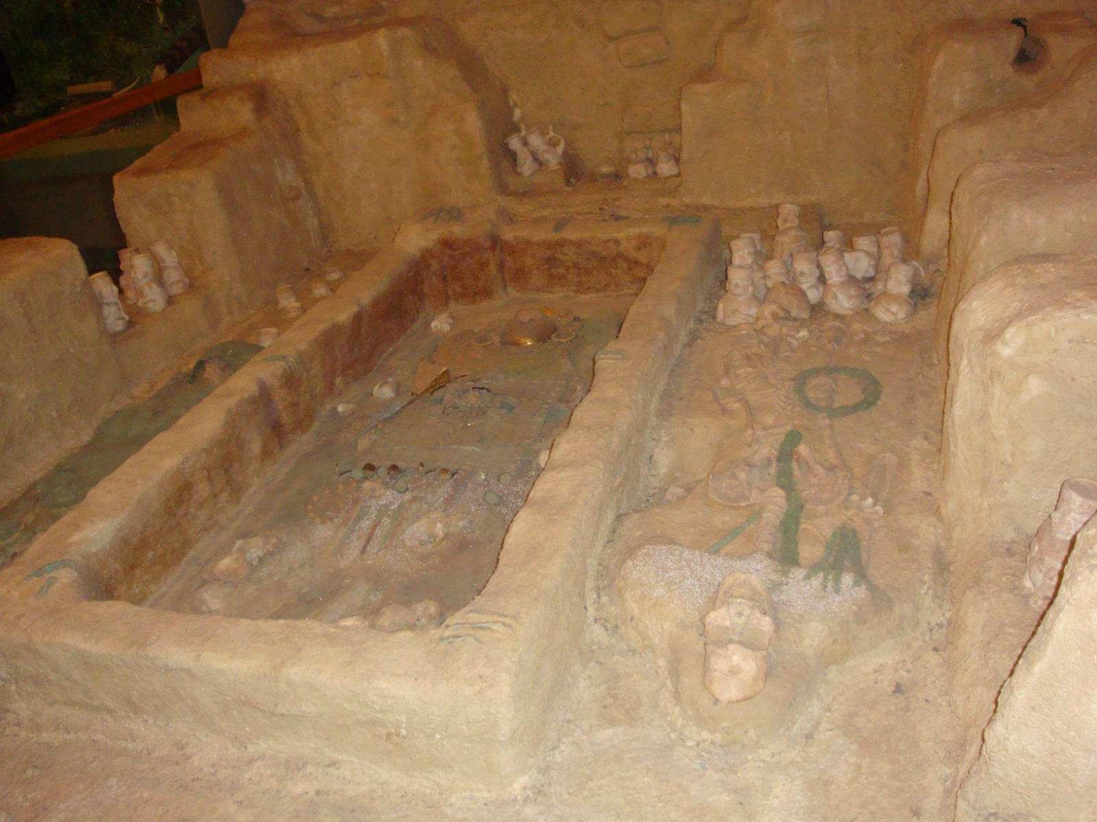 Una “noche” en el Museo Americano de Historia Natural