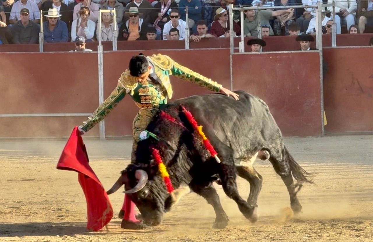 El novillero Joaquín Caro en ajustado y templado derechazo