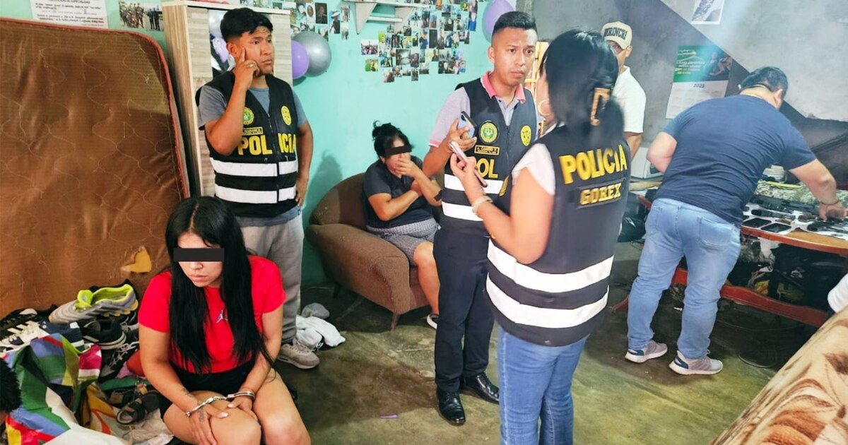 PNP desarticuló a ‘Los Chukys del Hampa’ dedicada al robo de vehículos de lujo