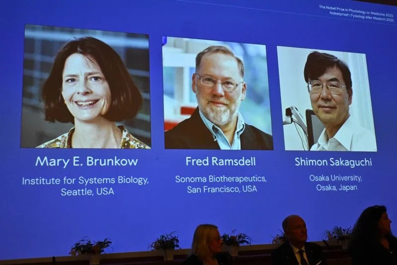 Entregan Nobel de Medicina por avances sobre sistema inmune